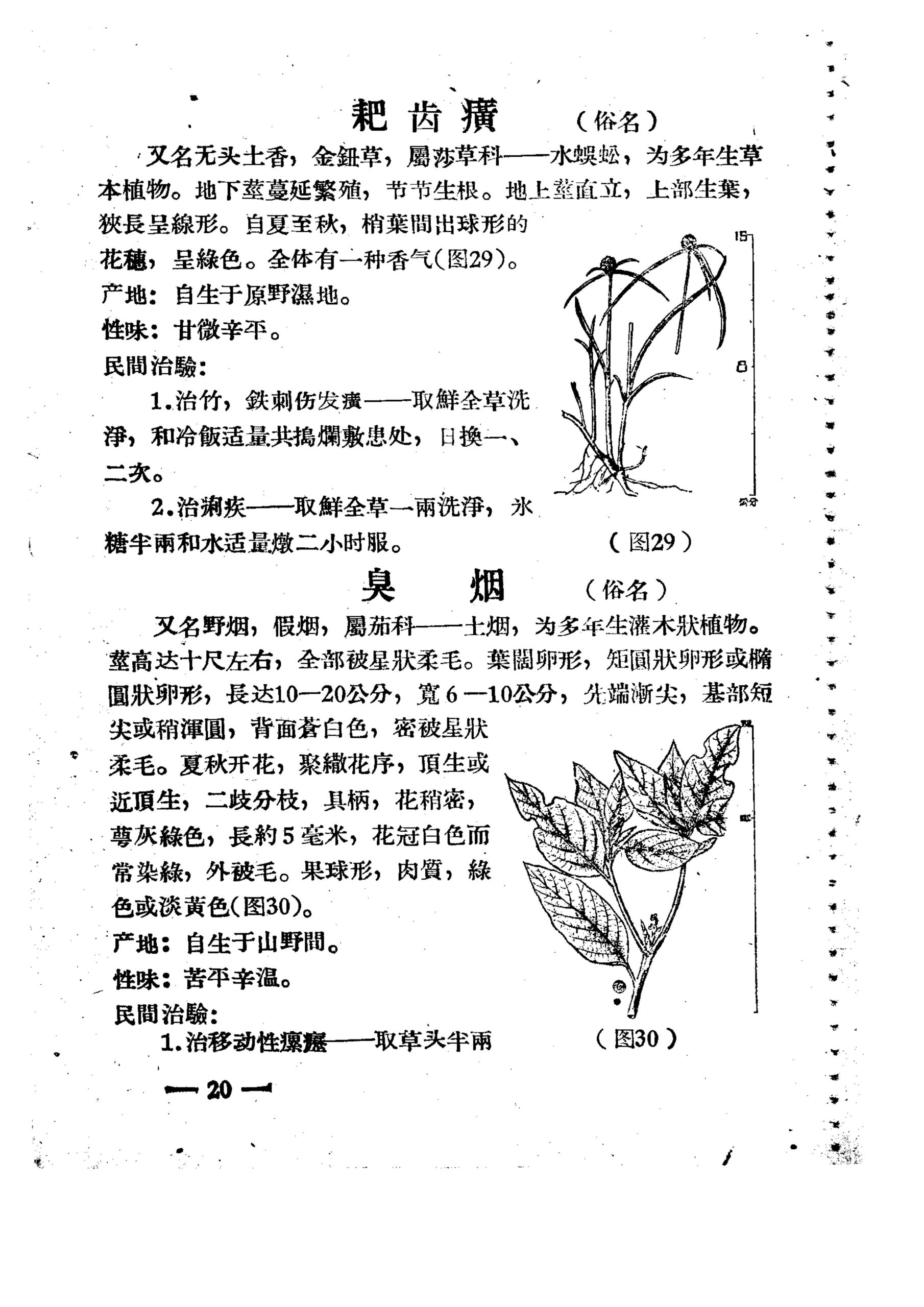 闽南民间草药  第二集(闽南中草药)