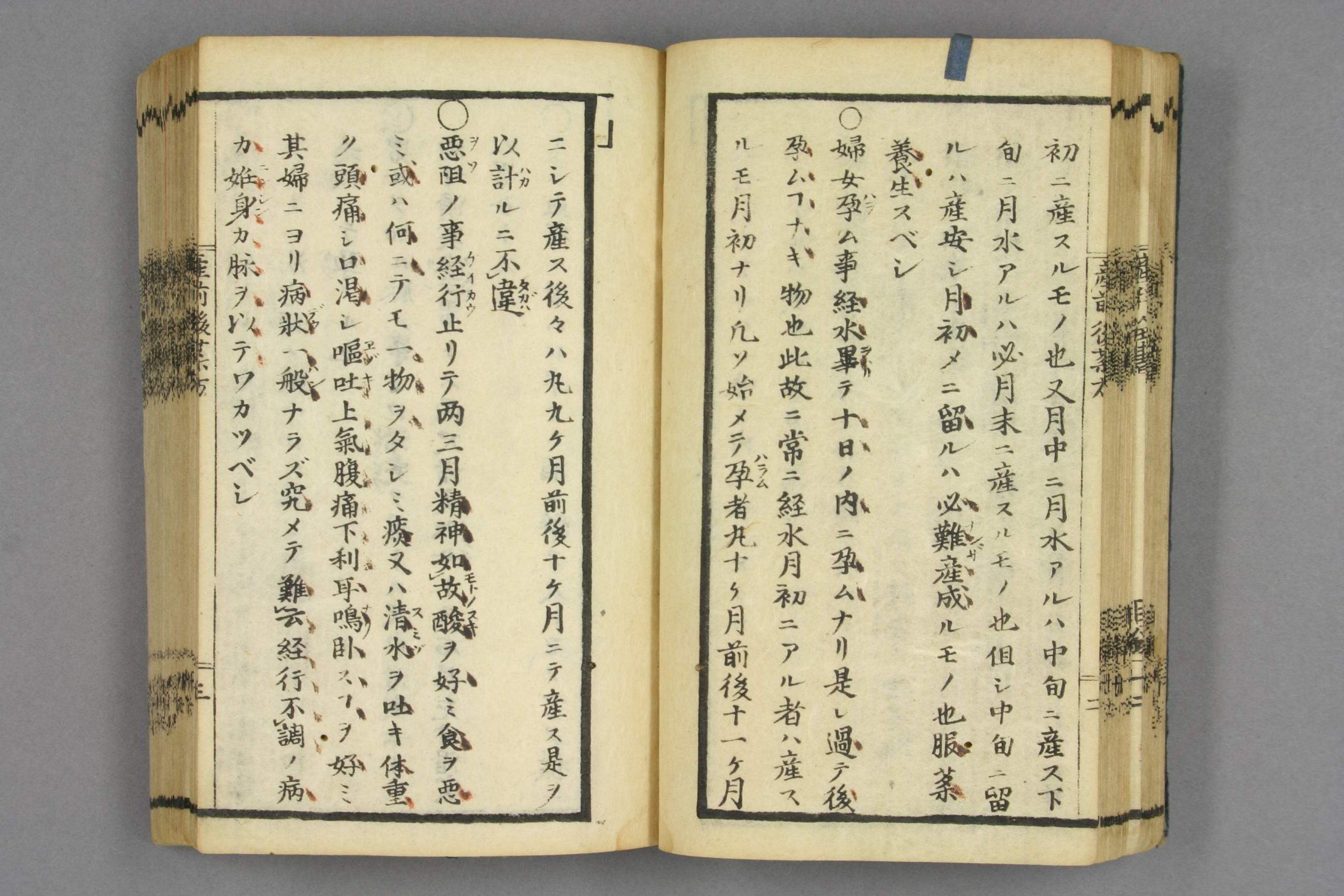 中条流产科全书