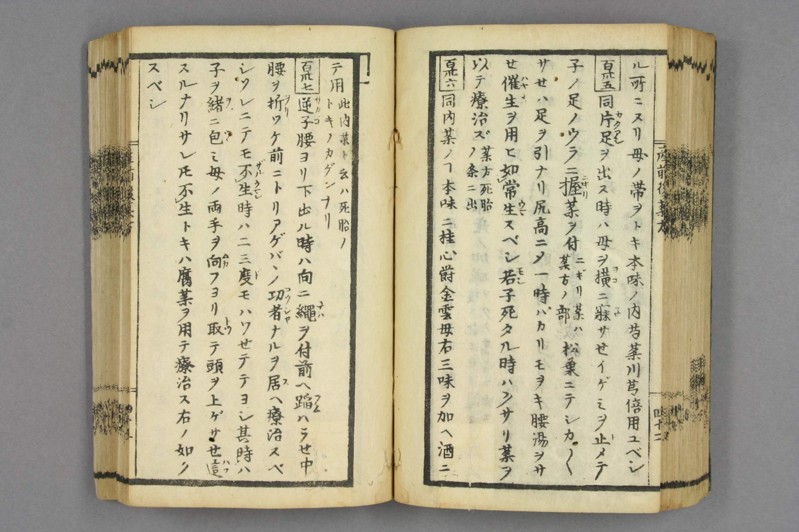 中条流产科全书